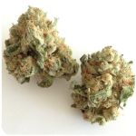 Шишки "White Widow"  (Белая вдова)  Гидропоника -  Бошка VHQ в Сорске
